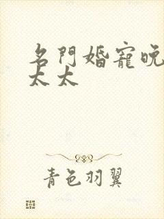 名门婚宠晚安赫太太