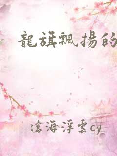 龙旗飘扬的舰队