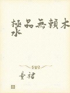 极品无赖木石山水