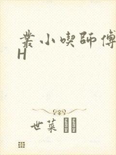 丛小吃师傅的HH