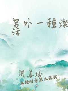 另外一种灿烂生活