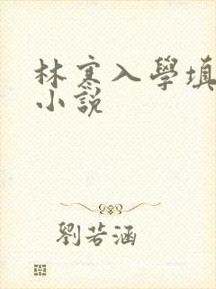 林寒入学填未婚小说