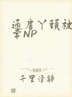 通房丫头被肉日常NP