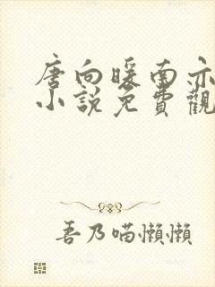 唐向暖南亦琛的小说免费观看