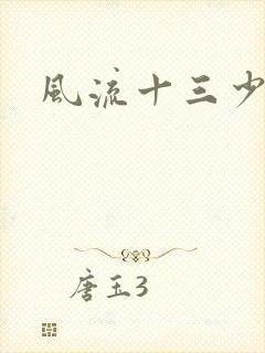 风流十三少