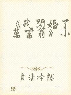 《我闪婚了个亿万富翁》小说