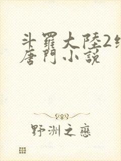 斗罗大陆2绝世唐门小说