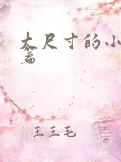 大尺寸的小说短篇