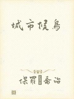 城市候鸟