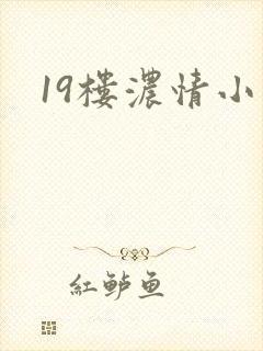 19楼浓情小说