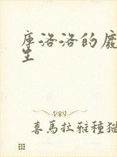 库洛洛的废柴人生