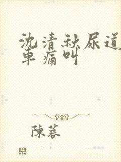 沈清秋尿道扩张车痛叫