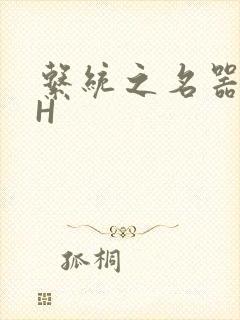 系统之名器勾男H