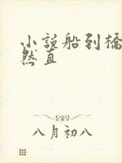 小说船到桥头自然直