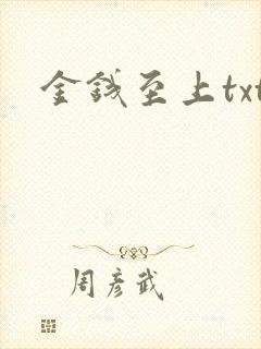 金钱至上txt