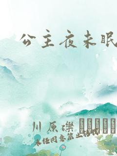 公主夜未眠