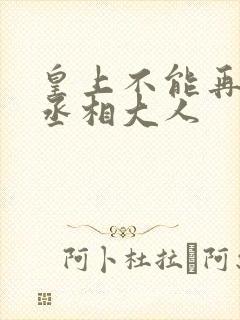 皇上不能再进了丞相大人