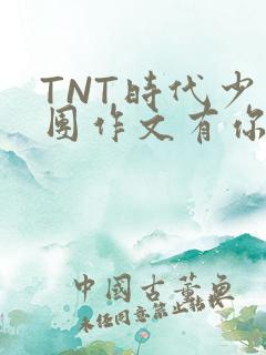 TNT时代少年团作文有你真好