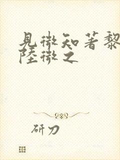 见微知著黎见卿陆微之