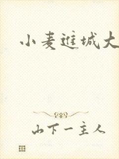 小麦进城大结局