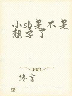 小sb是不是又想要了