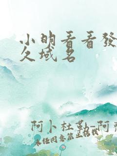 小明看看发布永久域名