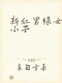 新红男绿女之坏小子