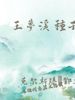 王梦溪 种子