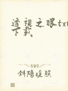 透视之眼txt下载