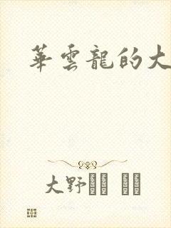 华云龙的大宝贝