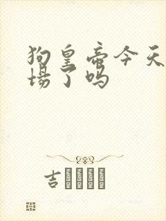 狗皇帝今天火葬场了吗