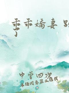 乖乖娇妻 别闹了