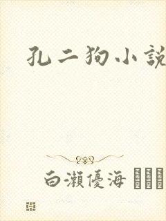 孔二狗小说