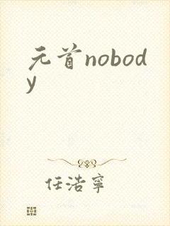 元首nobody