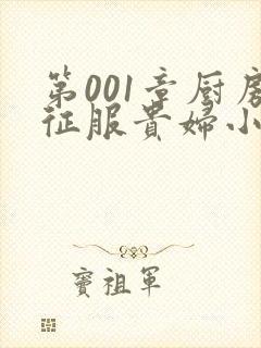 第001章厨房征服贵妇小说