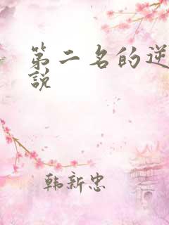 第二名的逆袭小说