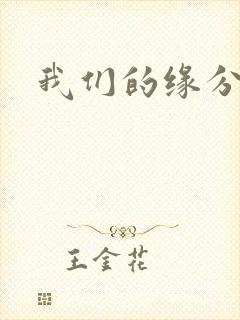 我们的缘分小说