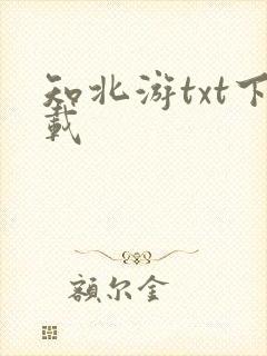 知北游txt下载