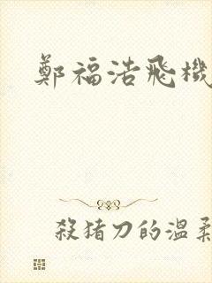 郑福浩飞机坠海