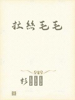 拉丝毛毛