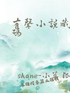 有声小说藏地密码