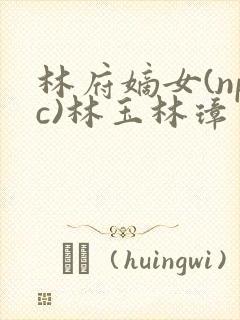 林府嫡女(npc)林玉林璋