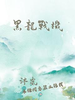 黑龙战机