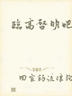 临高启明吧