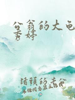 公翁的大龟挺进秀婷