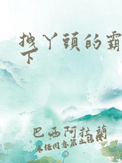 拽丫头的霸道殿下