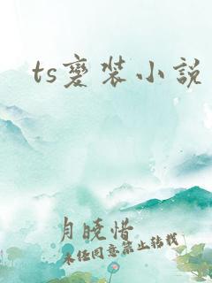 ts变装小说