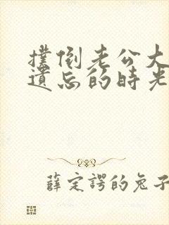 扑倒老公大人在遗忘的时光里重逢