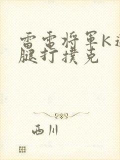 雷电将军K迈开腿打扑克