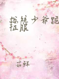 总统少爷跪地唱征服